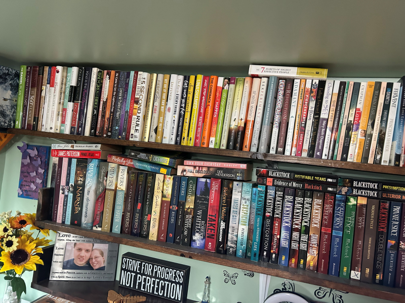Book Shelves Before