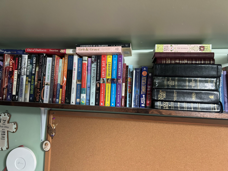 Book Shelves Before
